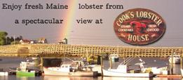 Cook's Lobster House photo