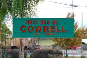 Cowbell photo