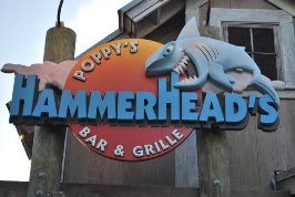 Hammerhead Bar & Grill photo