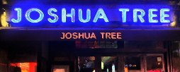 Joshua Tree photo
