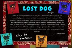 Lost Dog Cafe photo