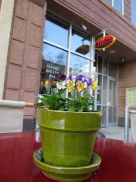 Marigold Kitchen photo