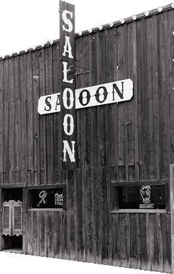 Moose's Saloon photo