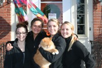 Orange Cat Cafe photo