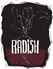 Radish photo