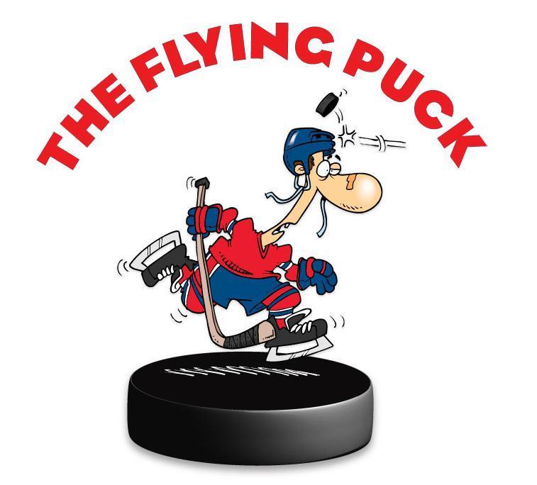 The Flying Puck photo