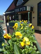 The Pub photo