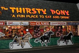 Thirsty Pony photo