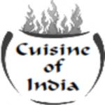 Cuisine Of India photo