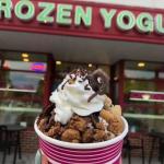 Berry Fresh Frozen Yogurt - Bayport, NY
