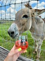 Fat Ass Ranch & Winery photo