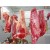 Redden Fine Meats & Seafood Market photo