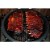 Mr. Ribs Family Restaurant photo